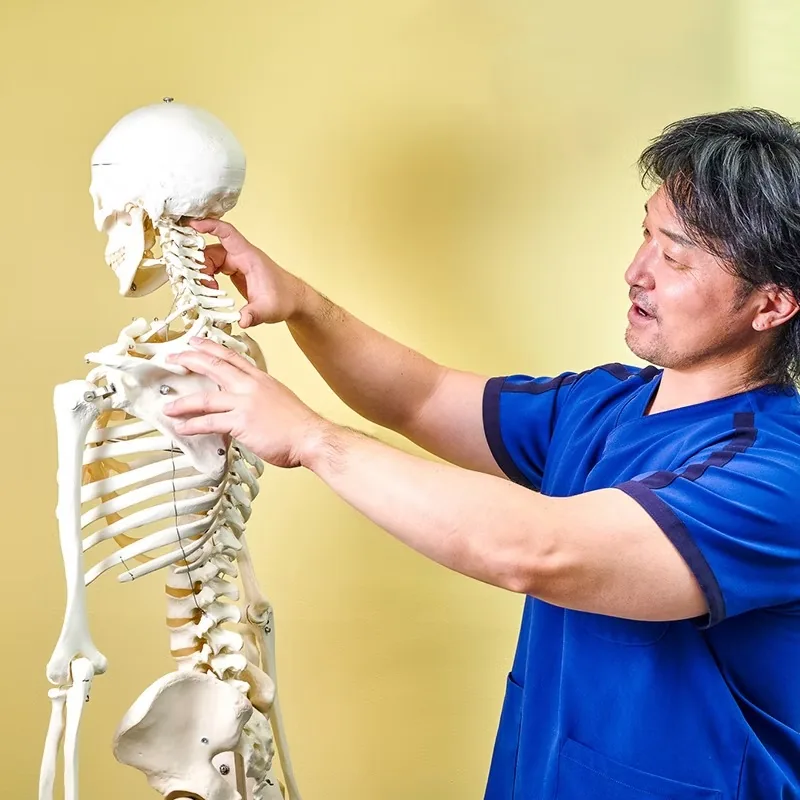 骨格模型で説明する院長